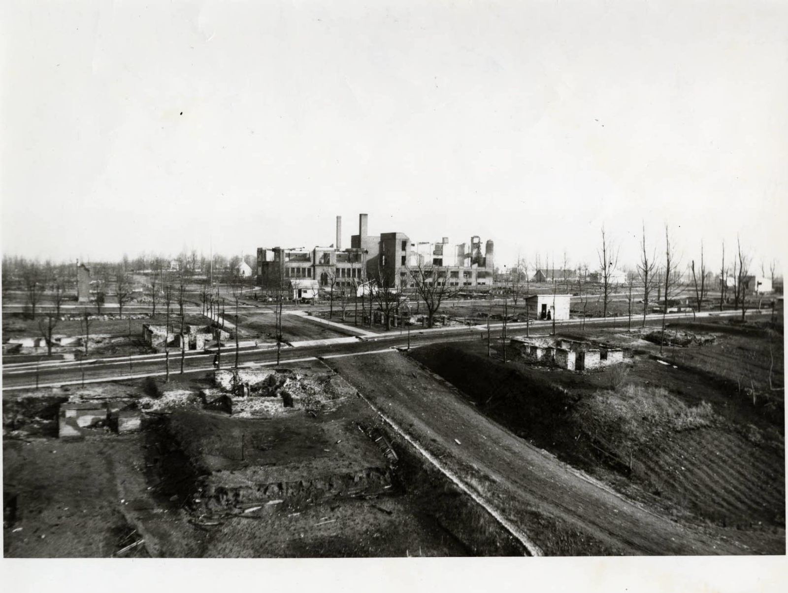 A wide view over Cloquet after the fire, showing empty lots, burned foundations and bare trees along the streets