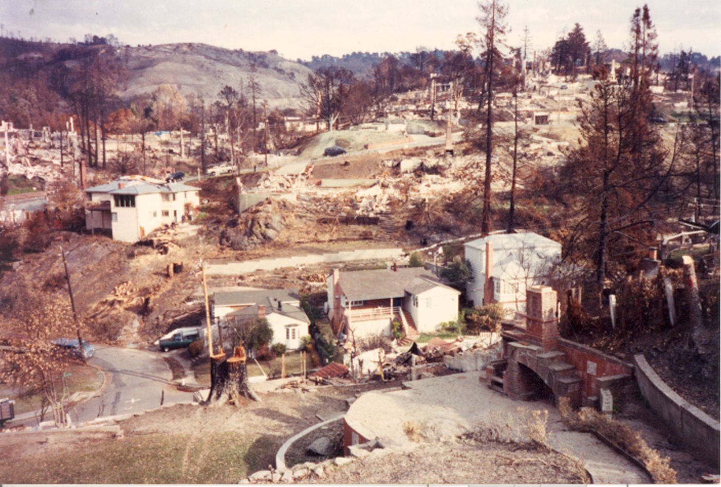Burned lots and bare trees on a hillside in the Oakland hills after the 1991 fire, with a few houses still standing